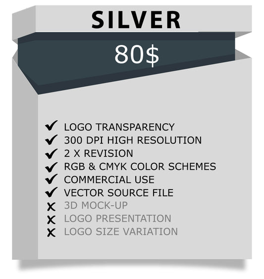 logo design silver package