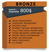 Website Bronze Package
