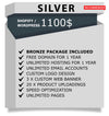 Website Silver Package